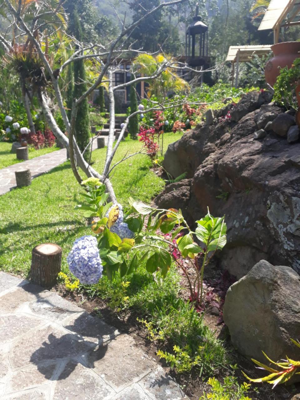 Hotel Y Bungalows Ecologicos Marcelo ซานติอาโก อาติตลัน ภายนอก รูปภาพ