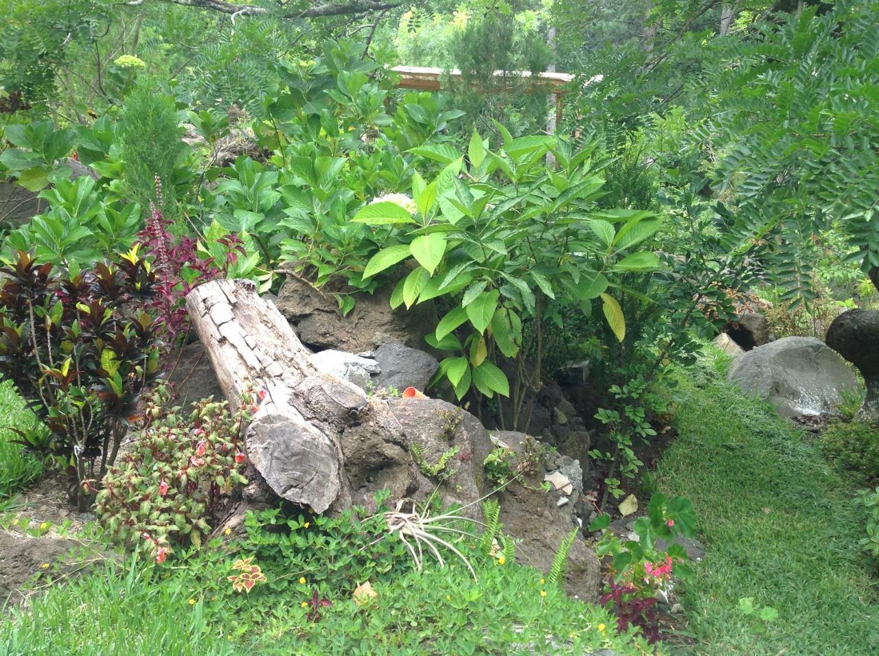 Hotel Y Bungalows Ecologicos Marcelo ซานติอาโก อาติตลัน ภายนอก รูปภาพ
