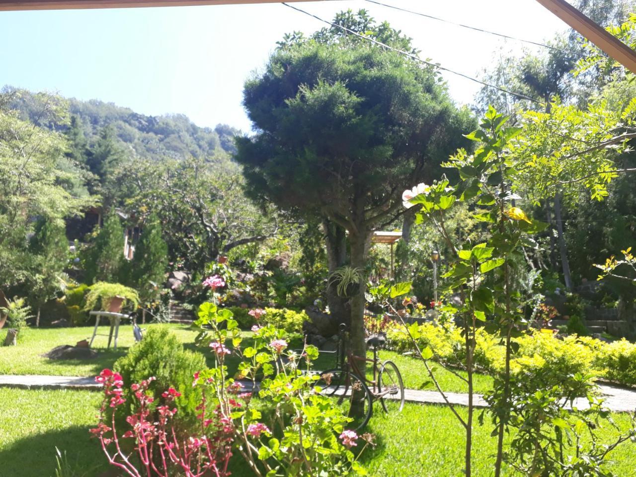 Hotel Y Bungalows Ecologicos Marcelo ซานติอาโก อาติตลัน ภายนอก รูปภาพ